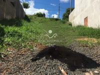 Terreno Maria Andrade