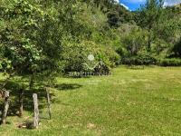 Chácara com  2 tanques de peixes e 4 nascentes de agua captada.