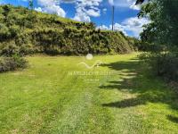 Chácara com  2 tanques de peixes e 4 nascentes de agua captada.