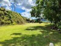 Chácara com  2 tanques de peixes e 4 nascentes de agua captada.