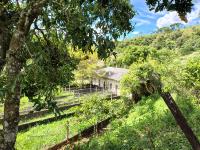 Chácara com  2 tanques de peixes e 4 nascentes de agua captada.