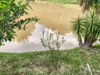 Chácara com  2 tanques de peixes e 4 nascentes de agua captada.