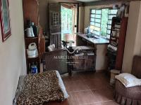 Chácara com  2 tanques de peixes e 4 nascentes de agua captada.