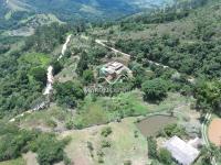 Chácara com  2 tanques de peixes e 4 nascentes de agua captada.