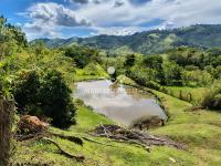 Chácara com  2 tanques de peixes e 4 nascentes de agua captada.