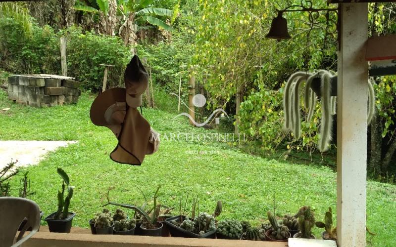 Sitio Bairro Jaboticabal 3 casas . Area 17,9 ha