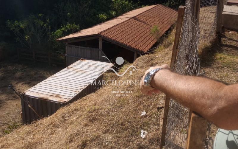 Chacara Bairro Barreiro com  de cavalo.