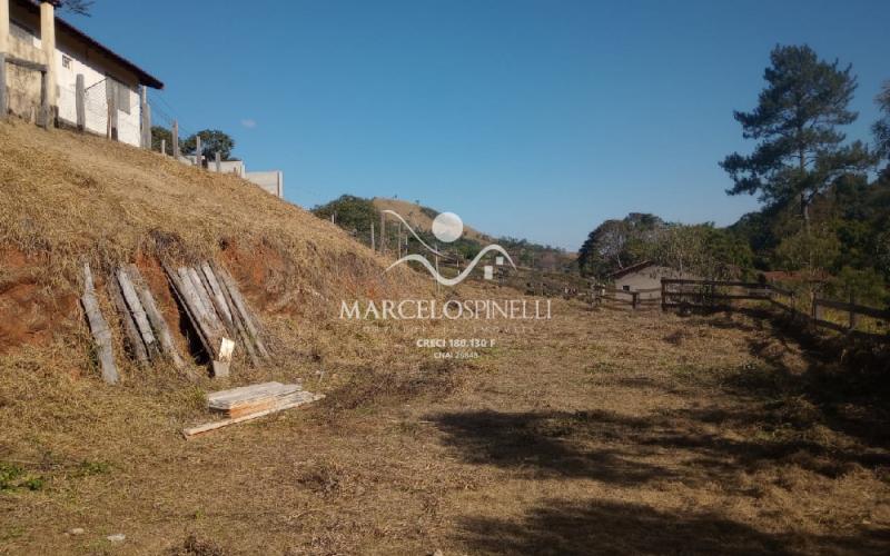 Chacara Bairro Barreiro com  de cavalo.