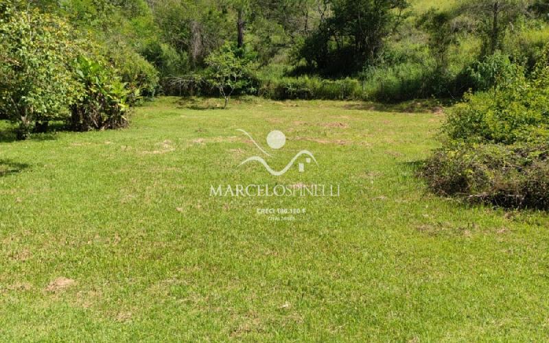 Chácara com  2 tanques de peixes e 4 nascentes de agua captada.