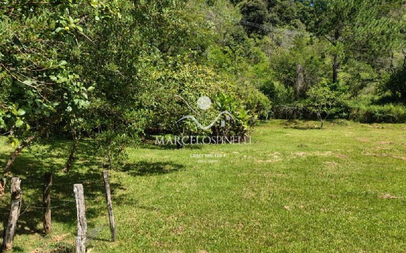 Chácara com  2 tanques de peixes e 4 nascentes de agua captada.