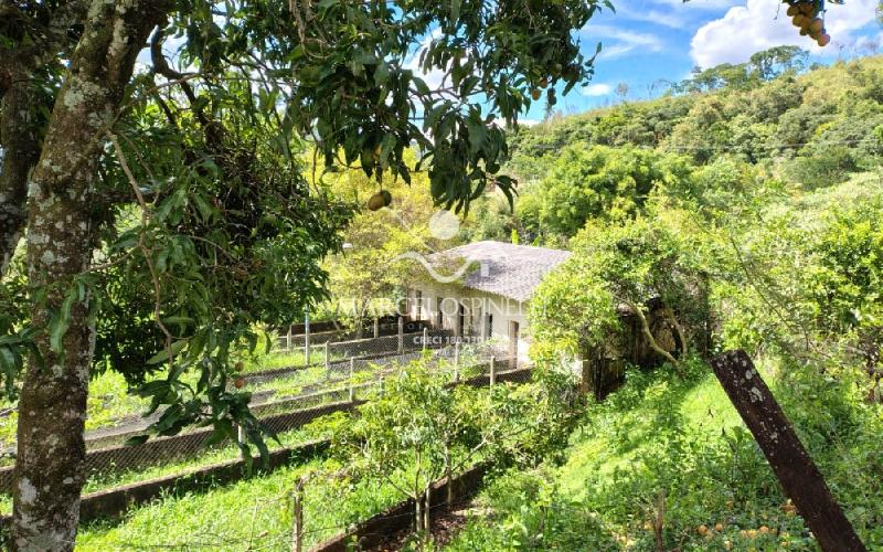 Chácara com  2 tanques de peixes e 4 nascentes de agua captada.