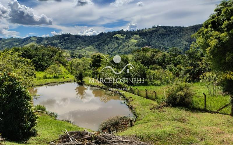 Chácara com  2 tanques de peixes e 4 nascentes de agua captada.