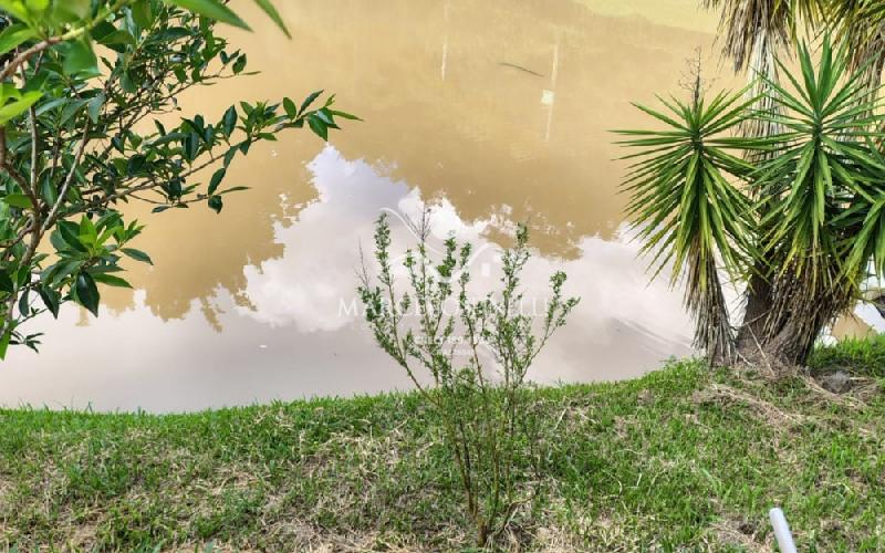 Chácara com  2 tanques de peixes e 4 nascentes de agua captada.