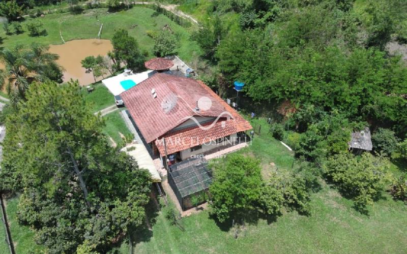 Chácara com  2 tanques de peixes e 4 nascentes de agua captada.